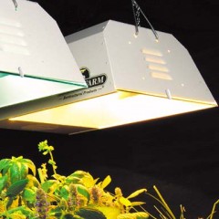 אילו מנורות המתאימות ביותר לגידול צמחים?