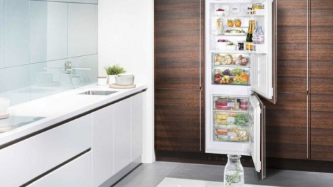 TOP 10 įmontuotų šaldytuvų 2017 m