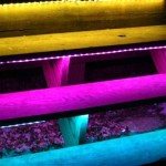 RGB-LEDs auf der Straße